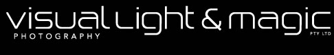 Visual Light and Magic Logo